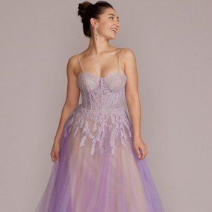 Gorgeous Iris Jules and Cleo Tulle Ball Gown with Illusion Lace Corset
